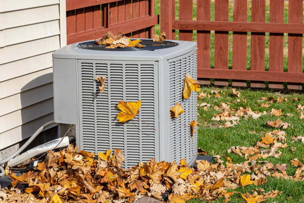 Best Best HVAC companies  in Gunter, TX